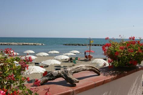 Hotel Grand Fagiano Palace 3*