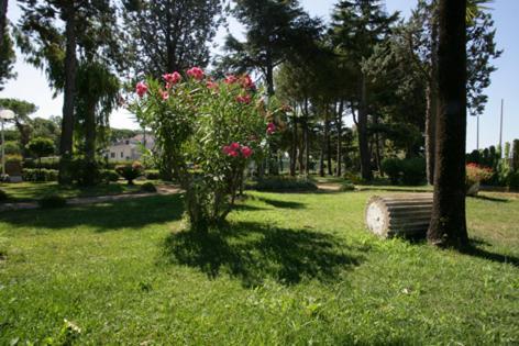 Grand Fagiano Palace 3*